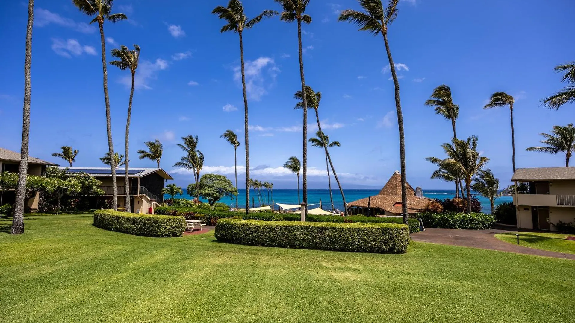 Kahana Napili Shores - Ocean Front Ground Floor الولايات المتحدة الأمريكية