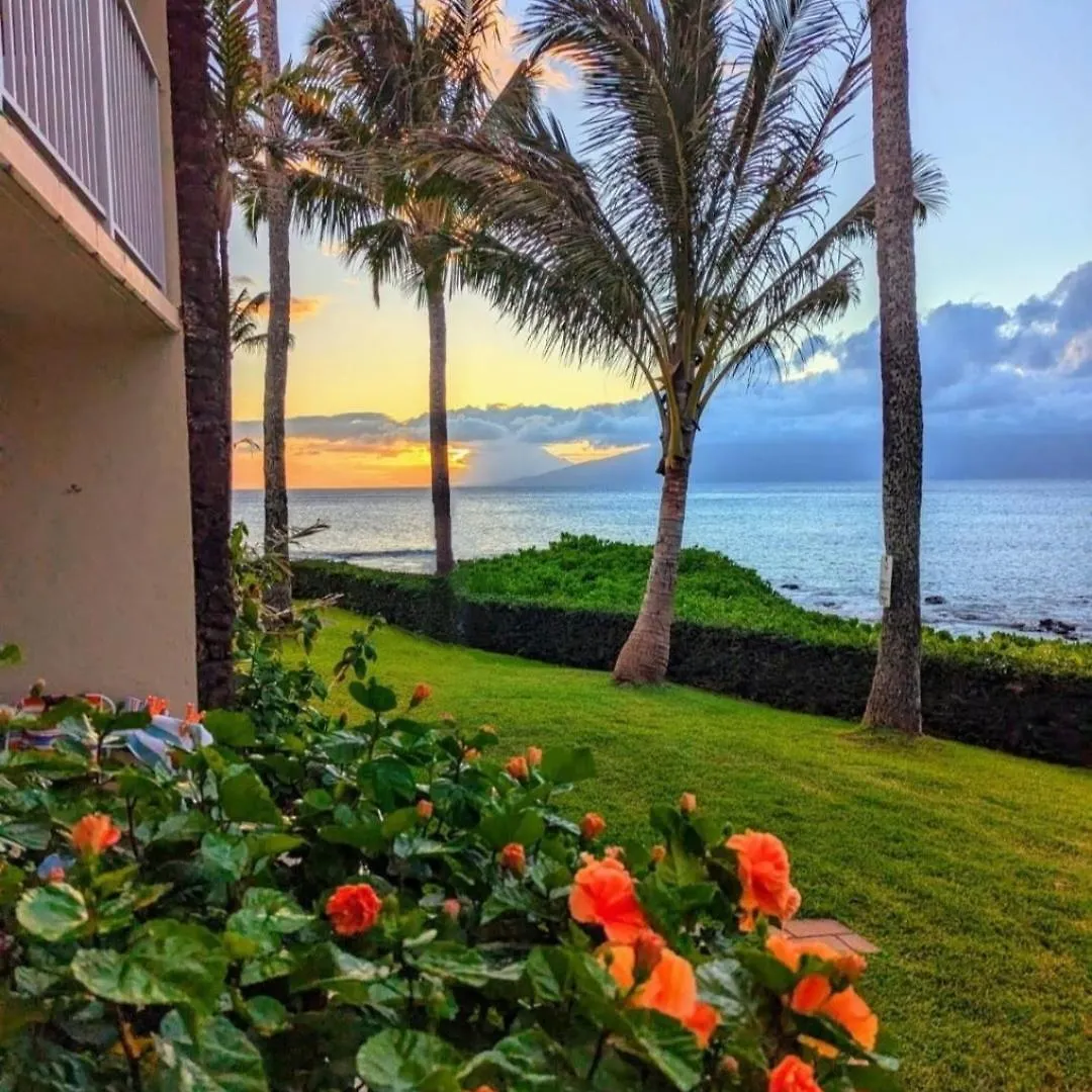 Kahana Napili Shores - Ocean Front Ground Floor