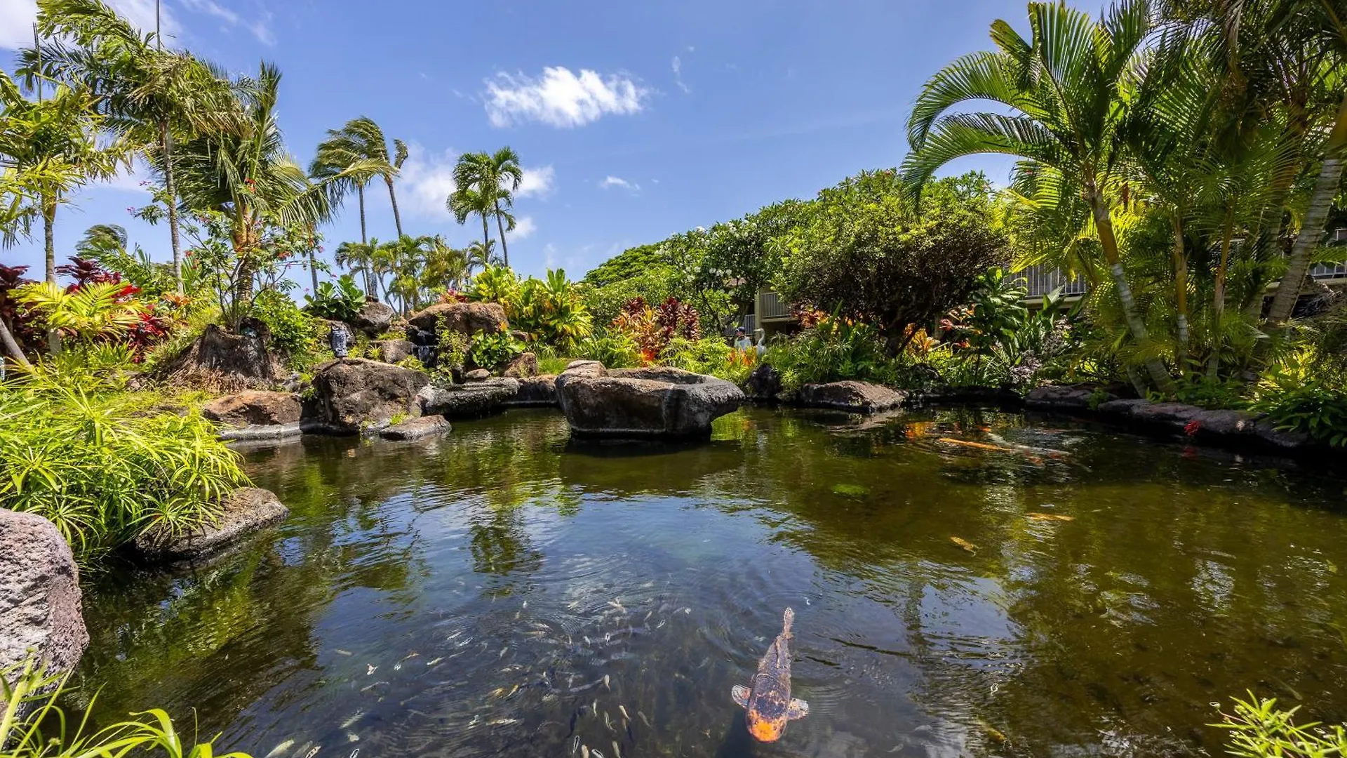 Kahana Napili Shores - Ocean Front Ground Floor 0*,