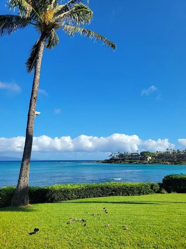 Kahana Napili Shores - Ocean Front Ground Floor